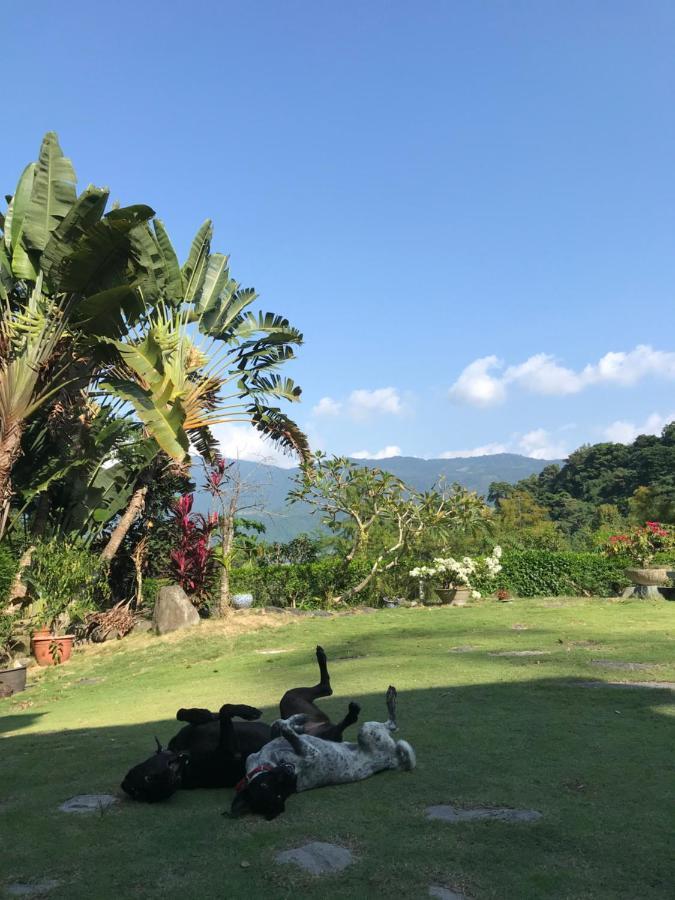 Wisdom Garden Home Stay Yuli Exteriér fotografie
